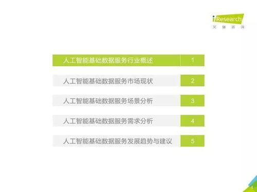 中國人工智能基礎(chǔ)數(shù)據(jù)服務(wù)與行業(yè)應用系統(tǒng)集成服務(wù)市場報告 雙輪驅(qū)動下的產(chǎn)業(yè)智能化進程